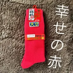 Item thumbnail for item 6b98d7b0-0e20-4e6e-8446-b2f69c3f3e8c