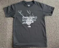THE NORTH FACE　ザ ノースフェイス　知床限定Tシャツ　サイズM