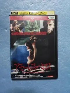 アモーレス・ペロスdvd