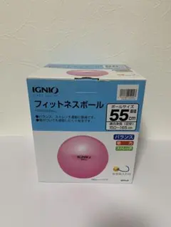 バランスボール　55cm イグニオ