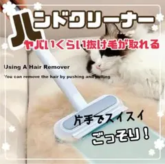 Item thumbnail for item a540c143-b421-4c07-9494-81aa91f582da