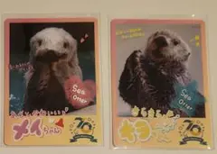 鳥羽水族館 70周年コレクションカード