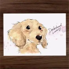 イラスト 原画 ポストカード 絵 【ダックス】52