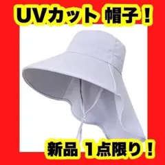 Item thumbnail for item d0e903bc-aa57-47b9-898b-6622f791c0b7