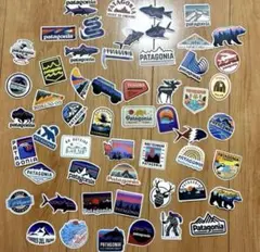 パタゴニア　patagonia 防水ステッカー ステッカー 55枚入り