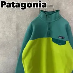 【人気・レアカラー】Patagonia パタゴニア シンチラ フリース