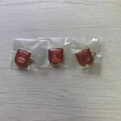 AJCC 2025 ピンバッジセット