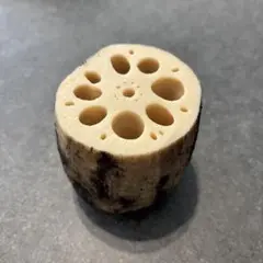 食品サンプル　蓮根　れんこん　ペン立て