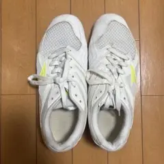 MIZUNO ロイヤルフェニックス３ 25.5cm