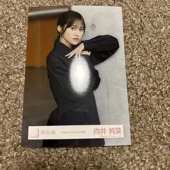 櫻坂46生写真 make or Break MV衣装　向井純葉