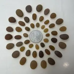 シーグラス ブラウン楕円　美品