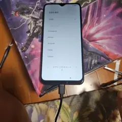 Xiaomi M2010J19SR スマートフォン本体