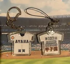 第107回全国高等学校野球選手権大会キーホルダー【綾羽】【他の学校も可能】