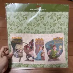 【新品未使用】ディズニー ファンタジースプリングス ピーターパン ポストカード