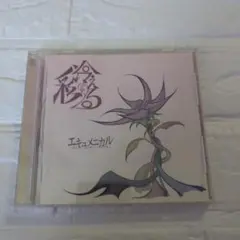 彩冷える　エキュメニカル CD