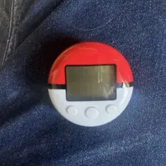 ポケウォーカー　Nintendo DS　動作未確認