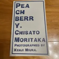 森高千里●写真集● PEACHBERRY
