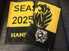 ◆非売品◆阪神タイガース◆シーズンシート◆タオル2枚セット◆