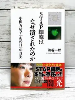 STAP細胞はなぜ潰されたのか 小保方晴子『あの日』の真実