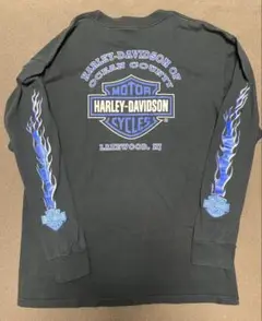harley davidson ハーレー ブルーフレイム L