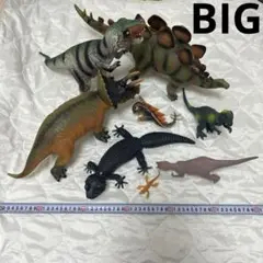 Item thumbnail for item 0b0ed17c-4daa-42f0-b2af-2dc0a2278648