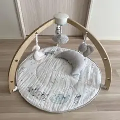エイデンアンドアネイ プレイジム