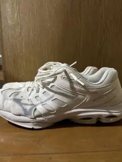 Item thumbnail for item 3a7e4525-ac12-4079-81ff-268dc487cc3a