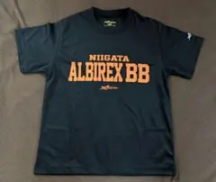 新潟アルビレックスBB Tシャツ 3Sサイズ
