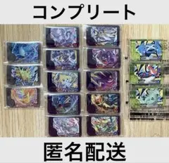 ポケモン　フレンダ　ベストタッグ1弾　コンプリート　16点