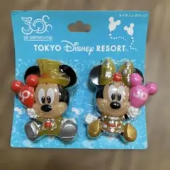 ディズニー リゾート 30周年 ライティングバッジ 光る おもちゃ