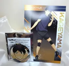 ハイキュー!! ユース・擬似ユース合宿フェア 影山飛雄