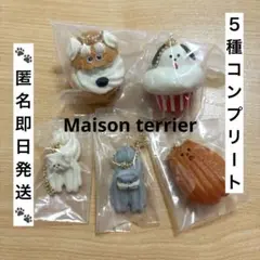 メゾンテリア　ミニチュアチャームコレクション　コンプリートセット　コンプ　ガチャ