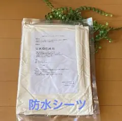 Item thumbnail for item f38fbc86-09a2-4699-9b4f-0d379ffde4a9