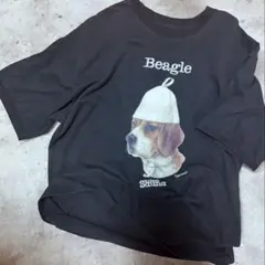 SAUVENIR SAUNA ANIMAL ビーグル ビッグTシャツ