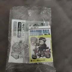 Item thumbnail for item 9bce5932-af56-4440-b32a-f4f971ffb770