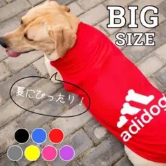 レッド3XL adidog 犬服 ドッグウェア 散歩 人気 春夏 Tシャツ 犬