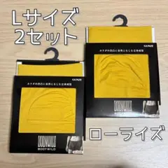 グンゼ ボディワイルド ボクサーパンツ 3D ローライズ Lサイズ 2セット