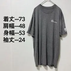 ARENA TRAINING FACILITY Tシャツ 半袖 グレー 夏