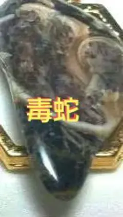 Rauelesnake毒蛇Agate (米国) ワイオミング産 メルカリ鑑定付