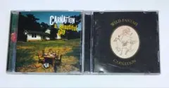 カーネーション「a Beautiful Day&WILD FANTASY」