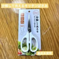 Item thumbnail for item b53b8516-467e-4416-b1e9-271609e4bbc3