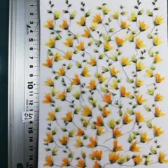 メラスフェルラ　 NO25 2025年 つぼみ付き 押し花 押し花素材