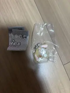 シュガーバニーズ