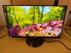 ASUS エイスース VA24DQ　24型 モニター HDMIコード付　映綺麗！