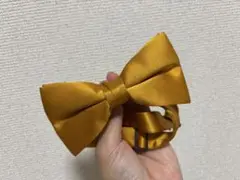 Item thumbnail for item b226ee55-4e53-4c52-a9ca-eb77875d50c5