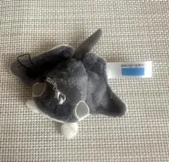 Item thumbnail for item 72ce89bb-6bc2-40d4-90d4-84b3cabcfa27