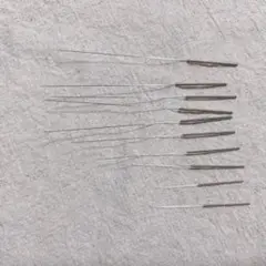 Item thumbnail for item ac3526ed-0c3c-4c71-bf9b-62200c1cdaf3