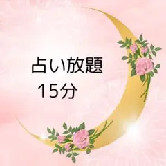 占い放題15分