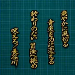 長谷川 応援歌 刺繍 ワッペン 金/黒 西武ライオンズ 長谷川信哉