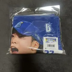 ベイスターズ　入江大生　フォトタオル